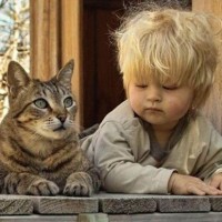 Ребенок и домашние животные