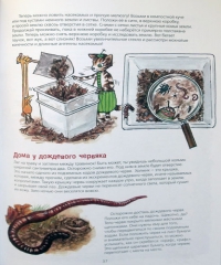 Свен Нурдквист и др: Проделки Финдуса