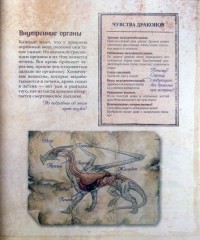 Драконы. Полная энциклопедия