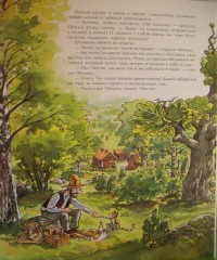 Свен Нурдквист. Петсон идёт в поход