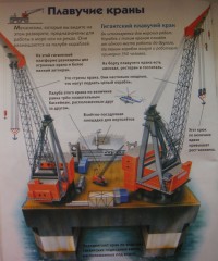 Каролина Янг: Строительная техника